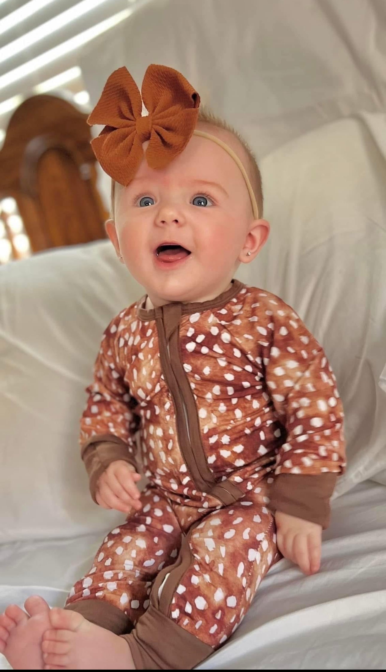 Oaks Fawn Zippy 0/3