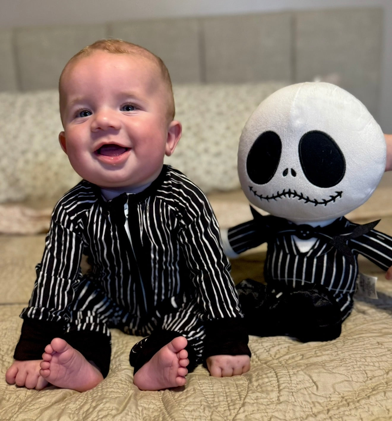 Jack Skeleton Zippy 6/12