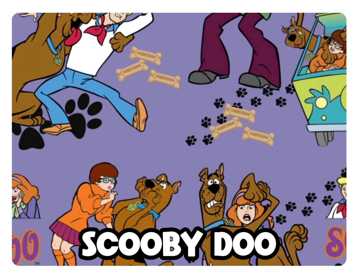 PO12: Scooby Doo