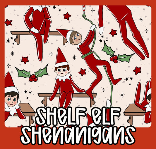 PO10: SHELF ELF SHENANIGANS